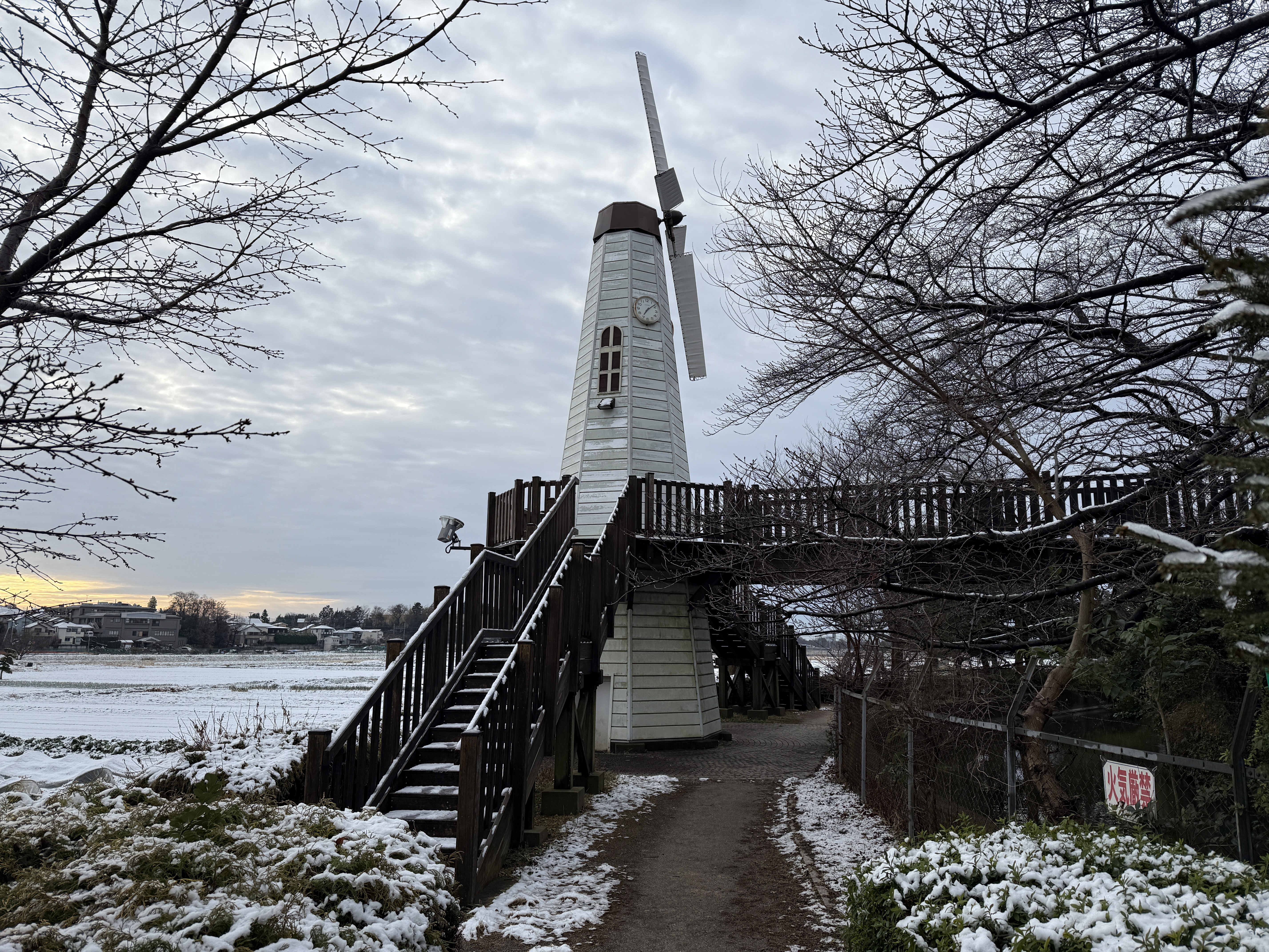 16 Proで撮影(1倍)