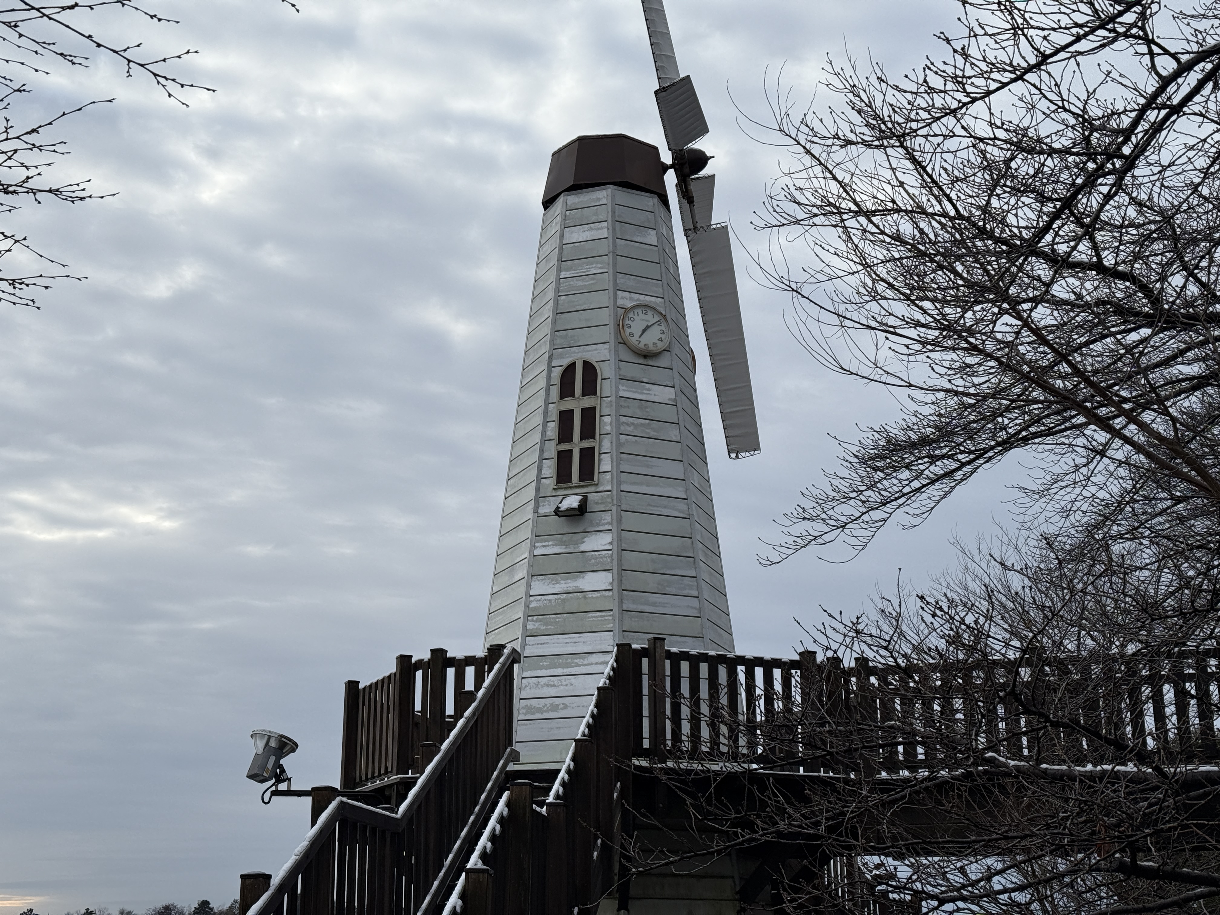 16 Proで撮影(2倍)