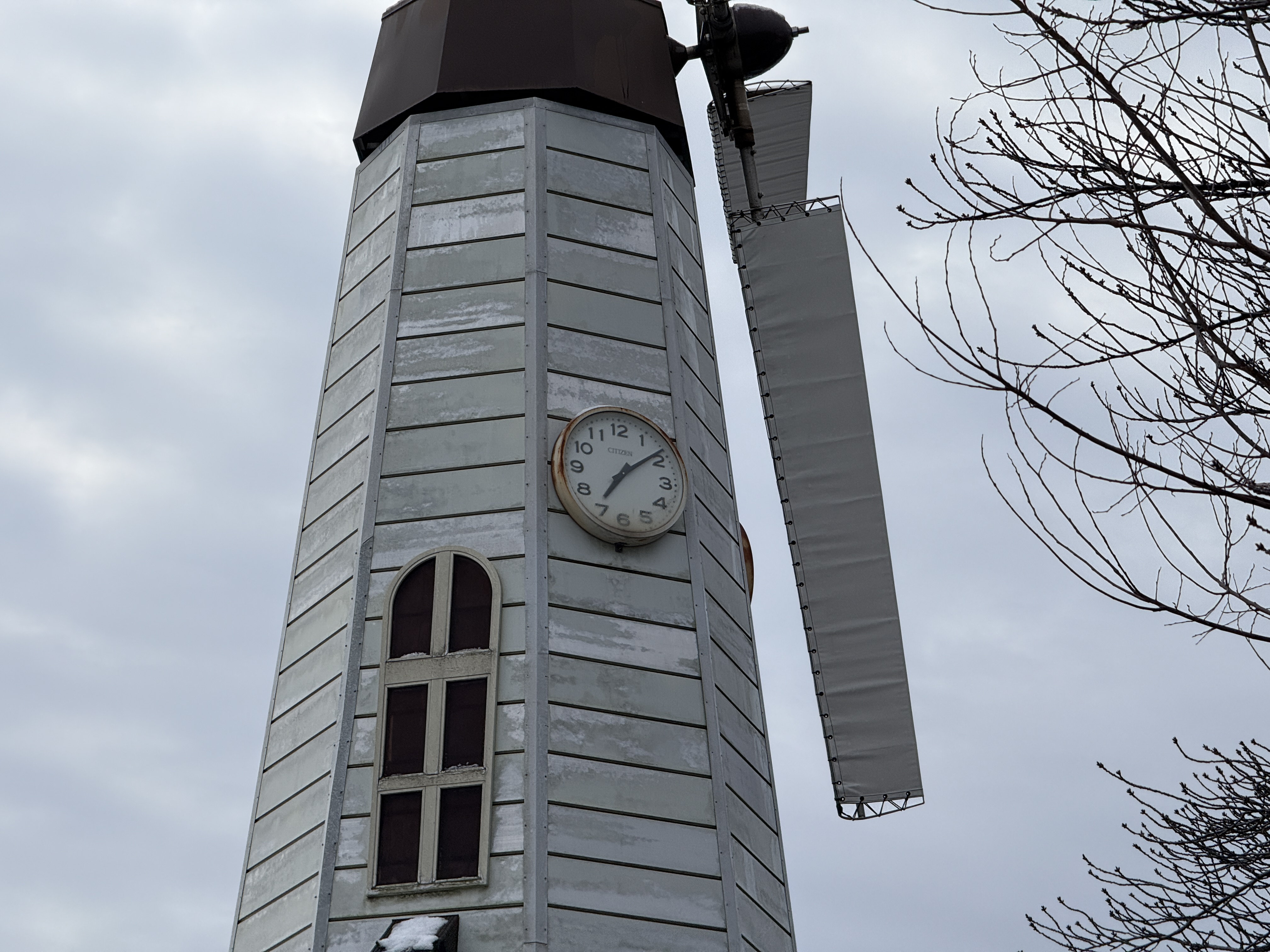 16 Proで撮影(5倍)