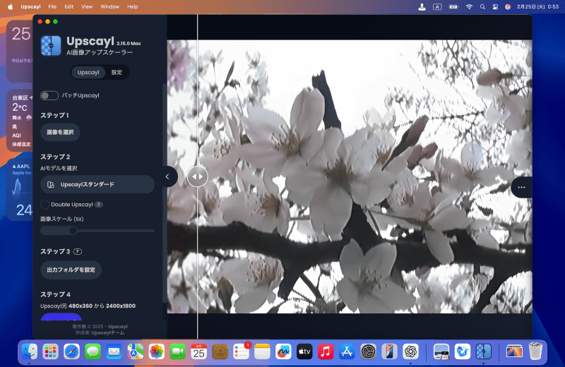 30万画素で撮影した古い写真をアップスケーリングしてみました。ボケやジャギーを取り除いて解像度がアップしているのが分かります