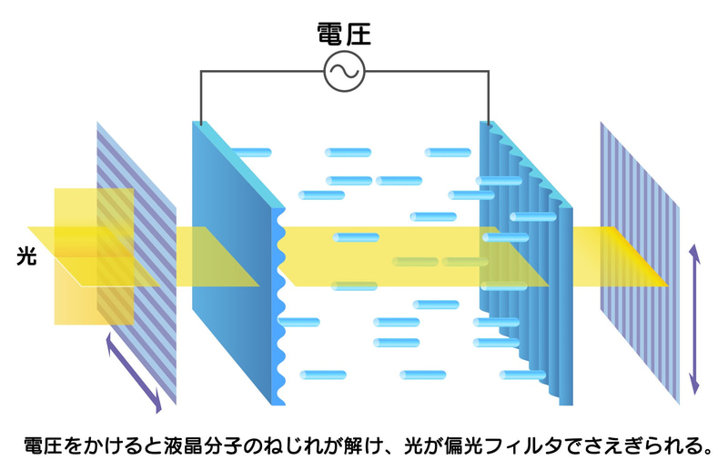 電圧ON時。液晶分子は立ち出して光の位相に影響を及ぼさない。そのため光は出口側の偏光フィルタでシャットアウトされてしまう。これが"暗"表示