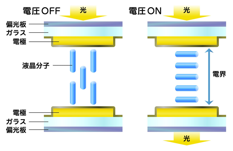 VA液晶では、画素中の液晶分子は通常時直立しているが、電圧をかけていくとだんだんと寝ていく。寝れば寝るほど液晶分子に光が当たりやすくなり、複屈折も起こしやすくなり、多くの光が透過するようになる