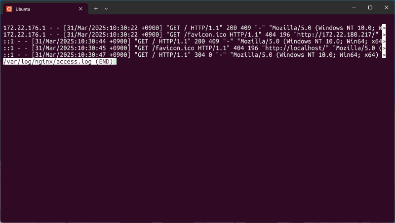 nginxのアクセスログ。IPアドレスを指定したアクセスと、localhostではアクセスの経路が異なることが分かる