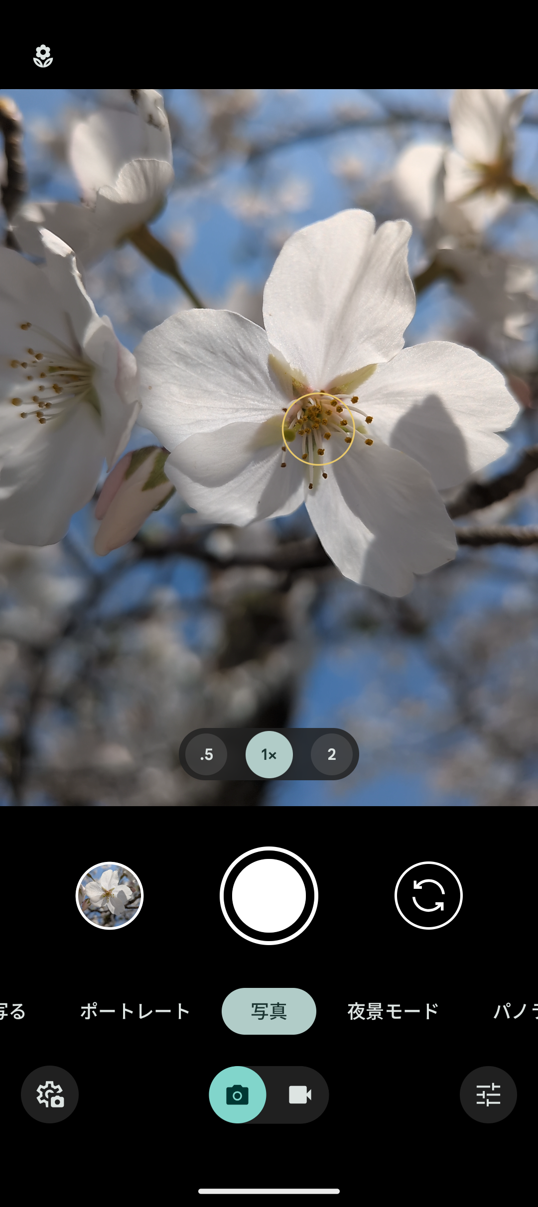 Pixel 9aでは広角カメラでのマクロフォーカスに対応。被写体に近付くと自動的にマクロフォーカスへと切り替わり、左上に花アイコンが表示される