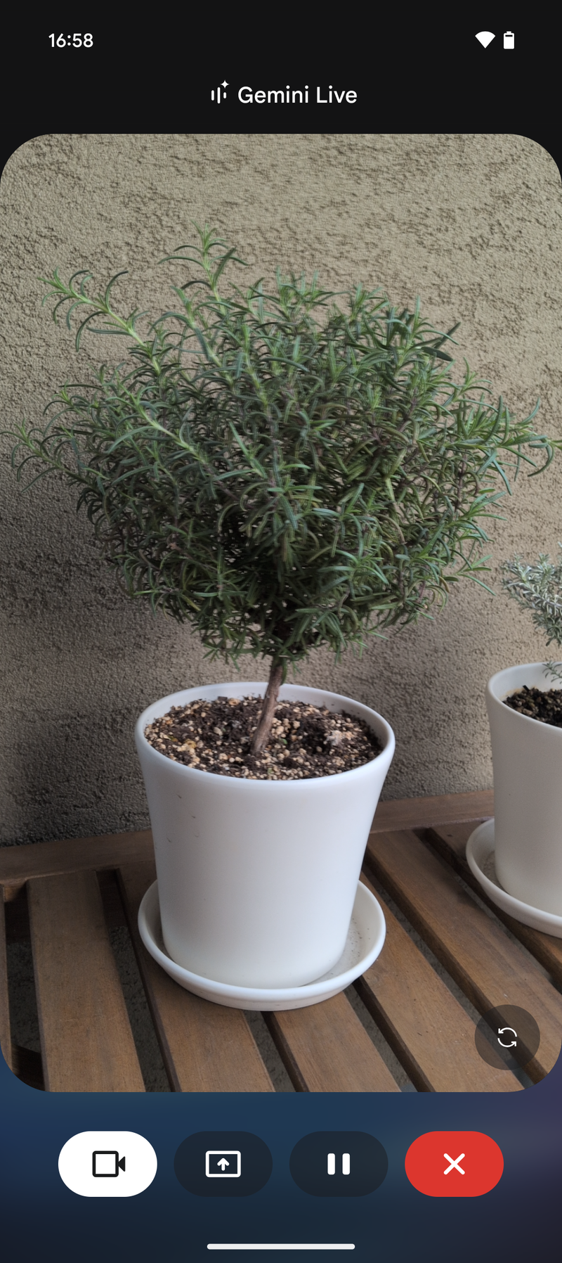 Gemini Liveでは、カメラの映像や画面を共有しながら対話できる