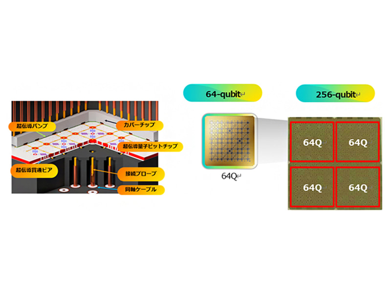 3次元接続構造と256量子ビットまでの拡張性
