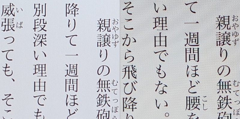 ディティールの比較。左が本製品、右がiPad mini。どちらも十分なクオリティだ