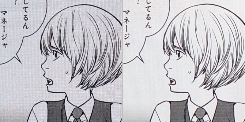 ディティールの比較。左が本製品、右がiPad mini。テキスト同様十分なクオリティだ