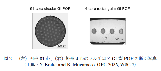 今回制作した円形61芯と矩形4芯のマルチコアGI型POF断面図