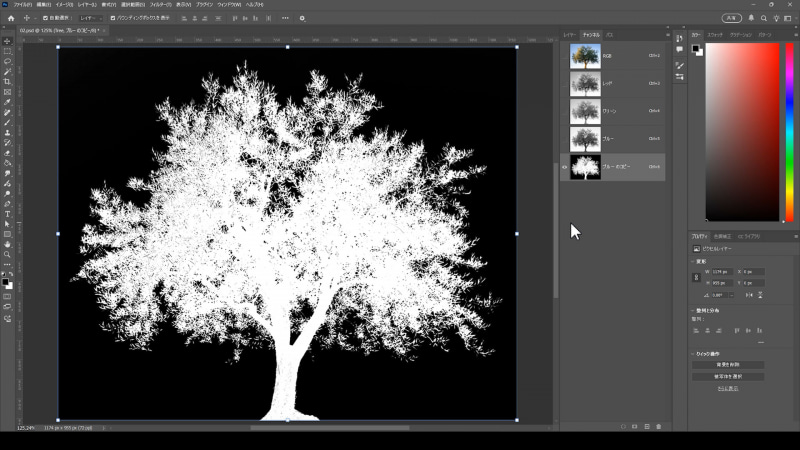 チャンネルでは白い部分が選択範囲となるのでCtrl (Mac: Command)+Iで階調の反転をします