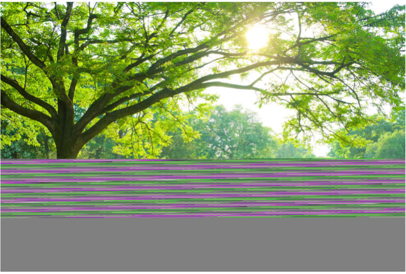 破損したデータも強制的に読み込める