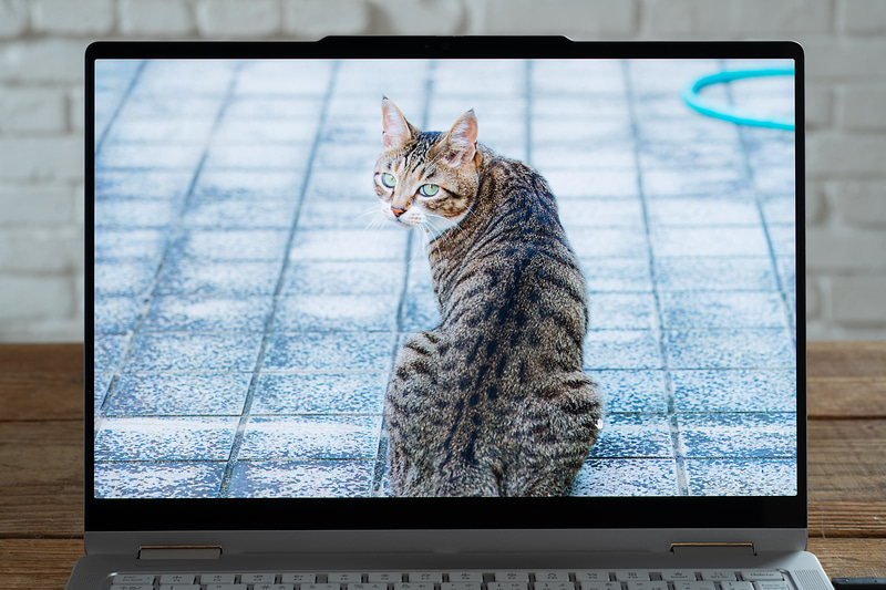 14型2,880×1,800ドットの有機ELディスプレイ。リフレッシュレートは120Hz