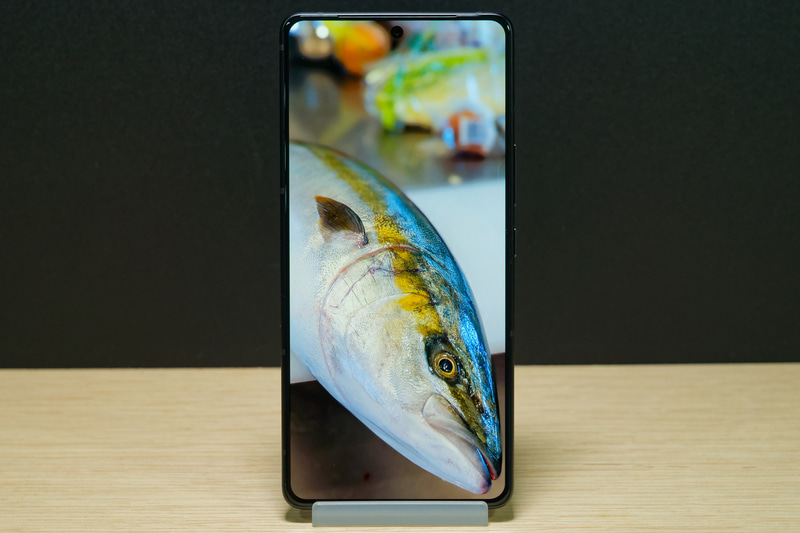 鮮やかな有機ELディスプレイ。リフレッシュレートは通常時最大120Hz