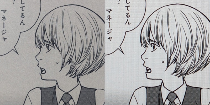 画質の比較。左が本製品(モノクロ300ppi)、右が13インチiPad Air(264ppi)。本製品のほうが高解像度だが、目視ですぐ分かるほどの差はない