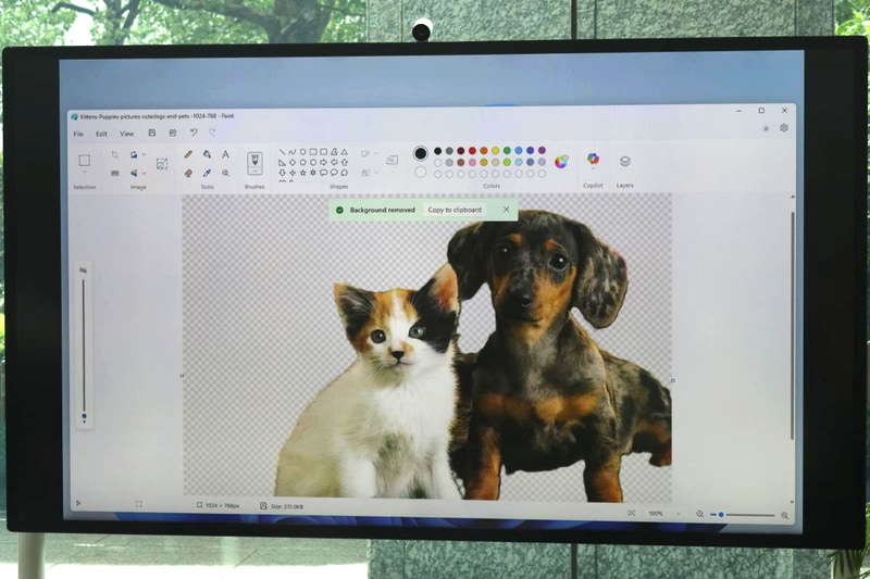 背景削除を実行すると、削除済みの状態でペイントが起動する