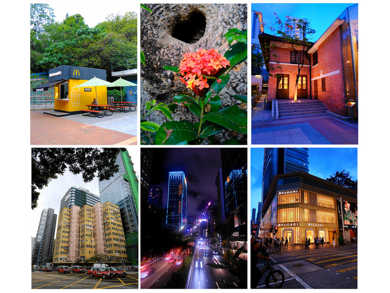 デジタルカメラモードでの作例