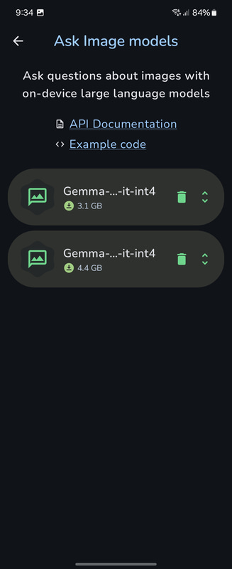 Ask Imageのモデルは2択