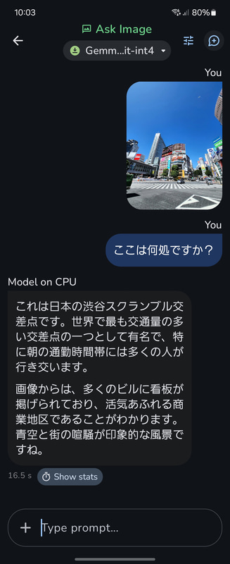Gemma-3n-E4B-it-int4が回答