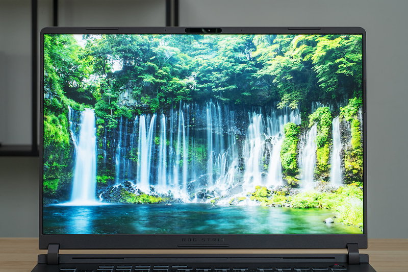 試用機は解像度こそスタンダードだが、165Hzの高リフレッシュレートなモニターを採用。色味も綺麗だ