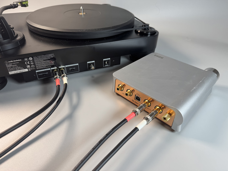 レコードプレーヤーとDS-DAC-10RはRCAオーディオケーブルで接続