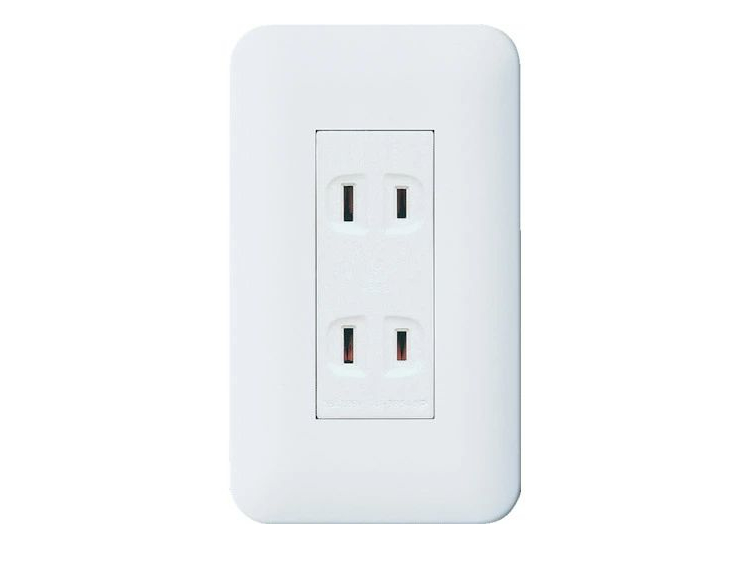 日本の壁コンセントは、ブタの鼻の2極コンセント