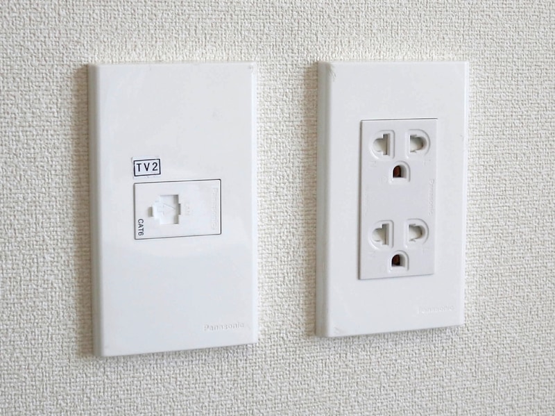 ベトナムは丸ピンと、日本と同じ平刃が混在しているので変った形になっているが基本3極