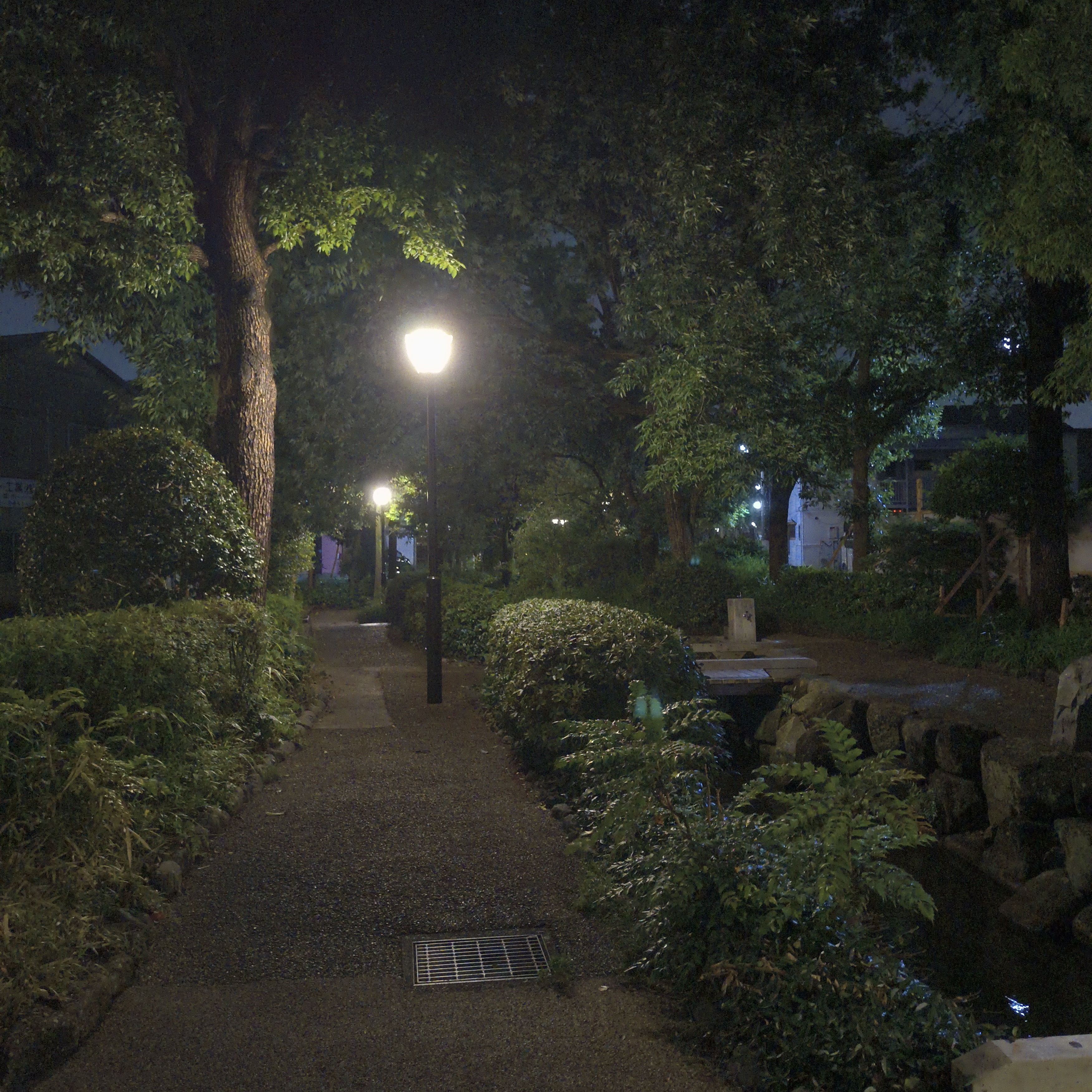 低照度では若干ノイジーだが、頑張って明るく映そうという印象