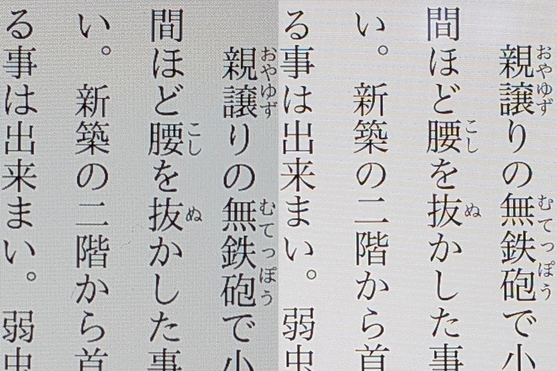 ディティールの比較。左が本製品(270ppi)、右がiPad mini(326ppi)。解像度による差はあるにはあるが、じゅうぶんに実用レベルだ