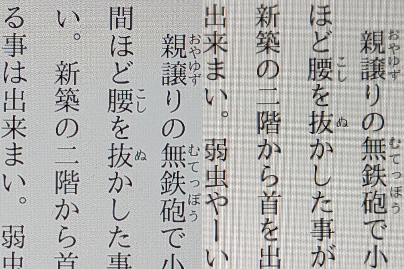 左が本製品(270ppi)、右がFire HD 8(189ppi)。解像度の差は歴然だ