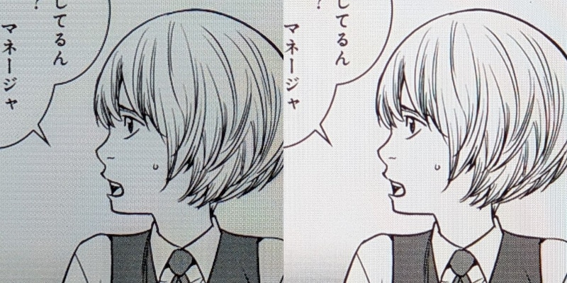 ディティールの比較。左が本製品(270ppi)、右がiPad mini(326ppi)。多少の差はあるが極端にディティールが失われているわけではない