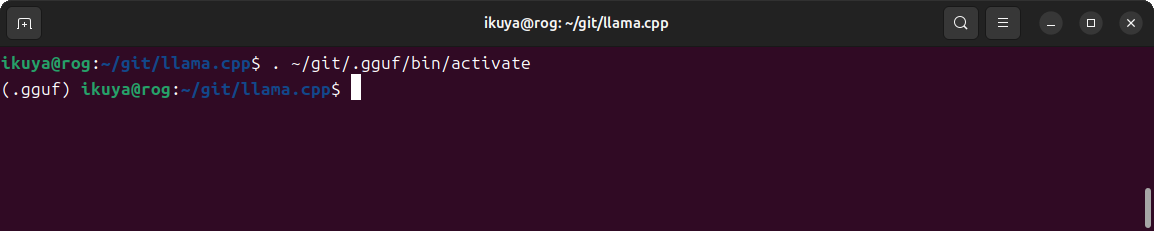 venv実行時の端末の表示