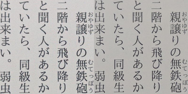 左が本製品、右がKindle Paperwhite。本製品は走査線のようなパターンが見えるが、これはカラーのレイヤーである可能性が高い