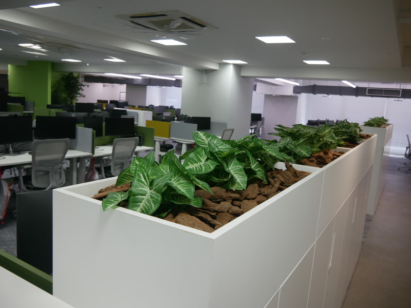 フロア内には緑も配置しており、リラックスしやすい環境を整えている