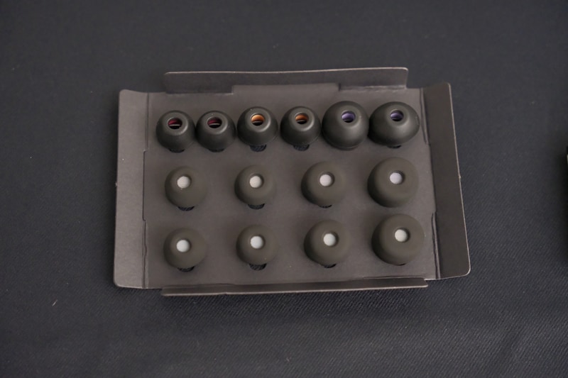 2種類のイヤーピースが付属。サイズは各4種類ずつ