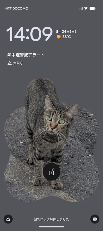 実際のロック画面ではこのように表示される