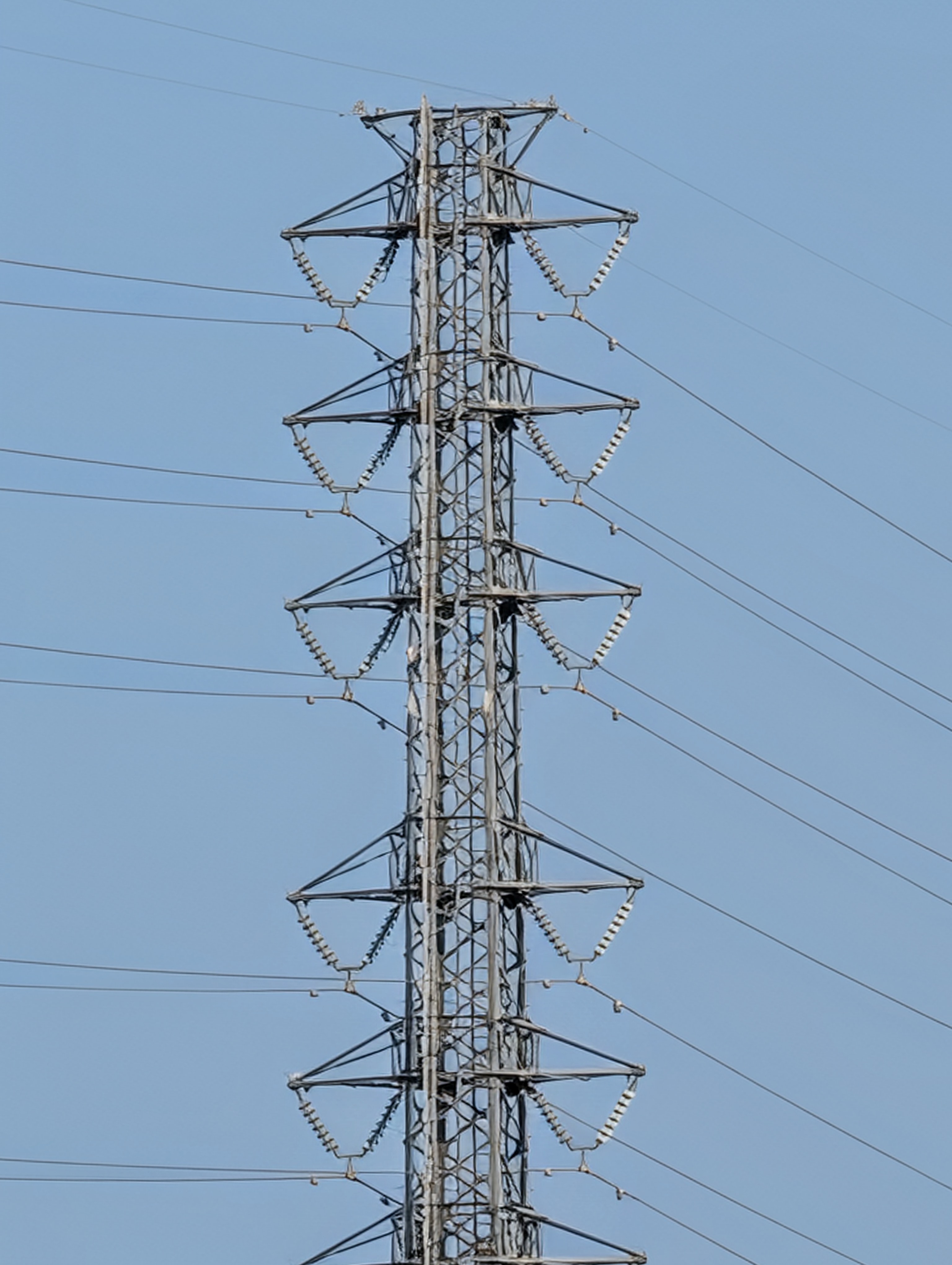 30倍、超解像ズームProで補完