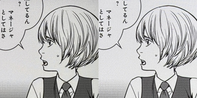 画質の比較。左が本製品、右が従来のPixel 9 Pro XL。同じ解像度ということで、特に相違は見られない