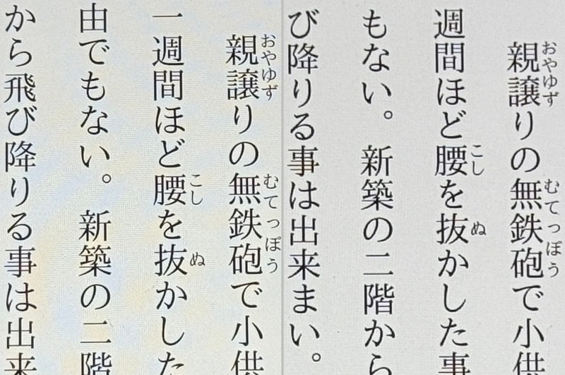 画質の比較。左が本製品、右が従来のPixel 9 Pro XL。コミックと同様、こちらも相違は見られない
