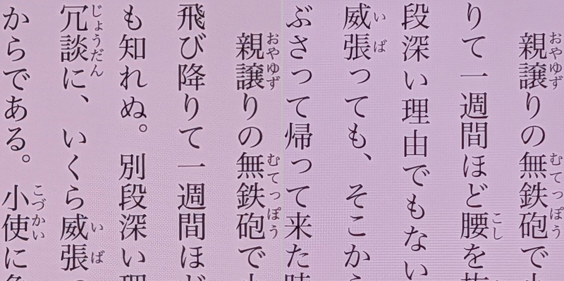 画質の比較。左が本製品、右がiPhone 16 Pro Max。どちらも460ppiで差は見られない