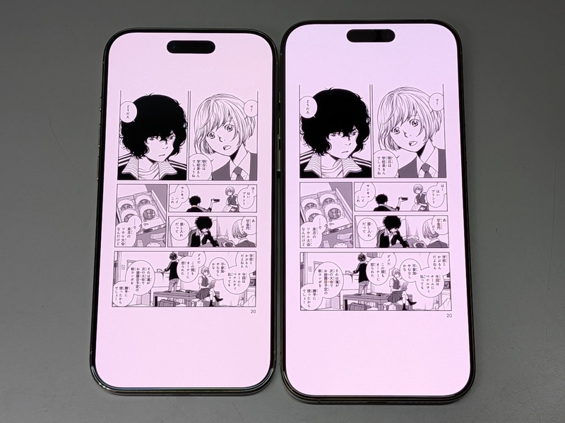 iPhone 16 Pro Max(右)よりはひとまわり小さいが、単ページ表示には十分なサイズだ