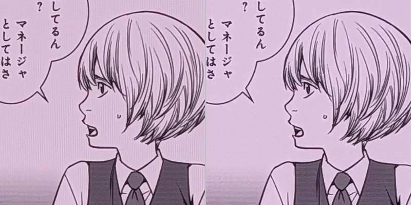 画質の比較。左が本製品、右がiPhone 16 Pro Max。こちらもテキストと同様に差は見られない