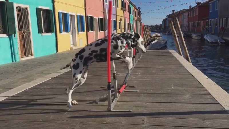 Sora 2で生成した動画