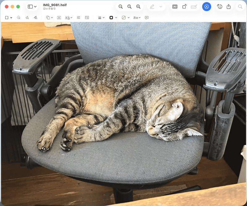 [開く]をクリックするとファイルが開きます。ここで[フォルダーに表示]を選べば、Finderにファイルが表示されます
