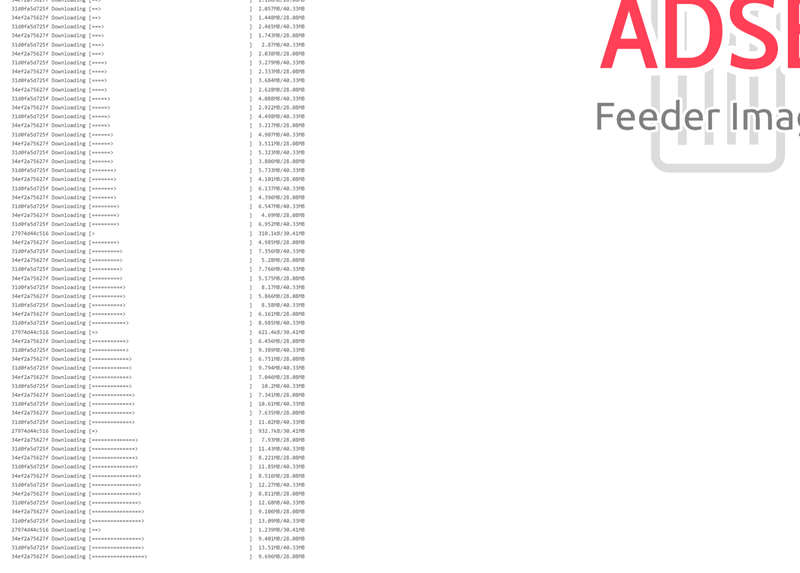 セットアップ中。必要なソフトウェアはここでダウンロードされる