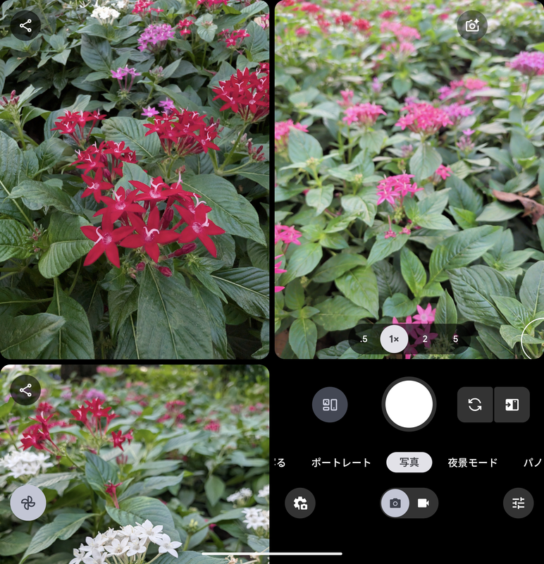 新機能のインスタントビューは、撮影した写真を即座にプレビューしながら撮影を継続できるので、失敗なく写真を撮影できる