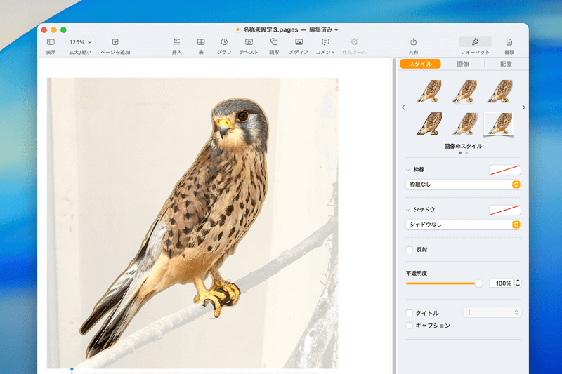 画像から背景が削除されます。該当するメニューを探し回る必要はありません