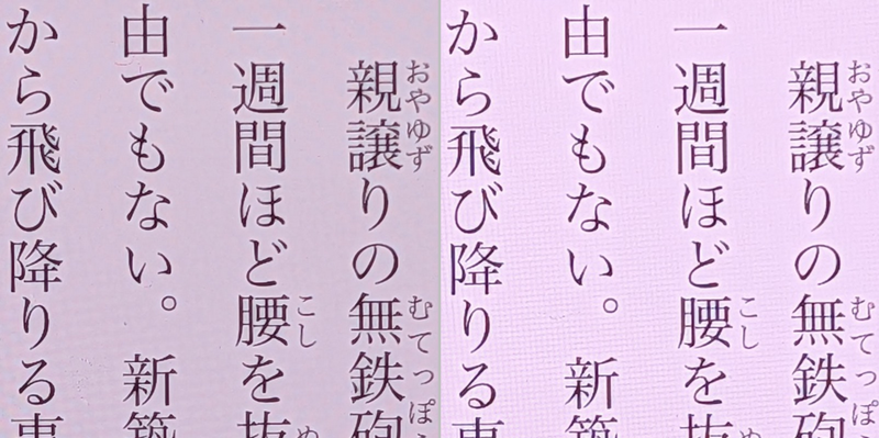 画質の比較。左が本製品、右がiPhone 16 Pro Max。どちらも460ppiで差は見られない