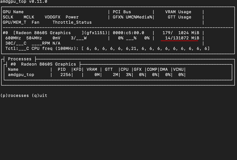 amdgpu_top --smiの実行結果。VRAMが131072MBになっている