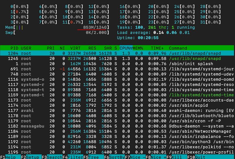 htopの実行結果。RAM 124GB