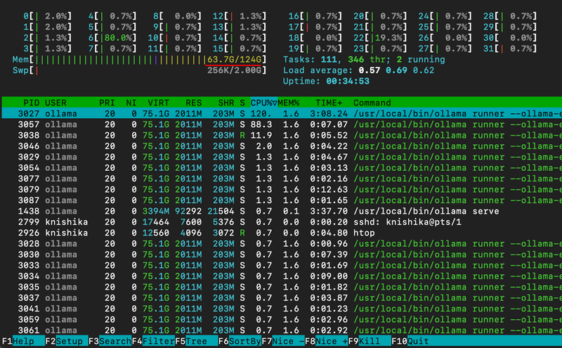 gpt-oss-12b使用中のhtop。RAM 63GBほど使っている